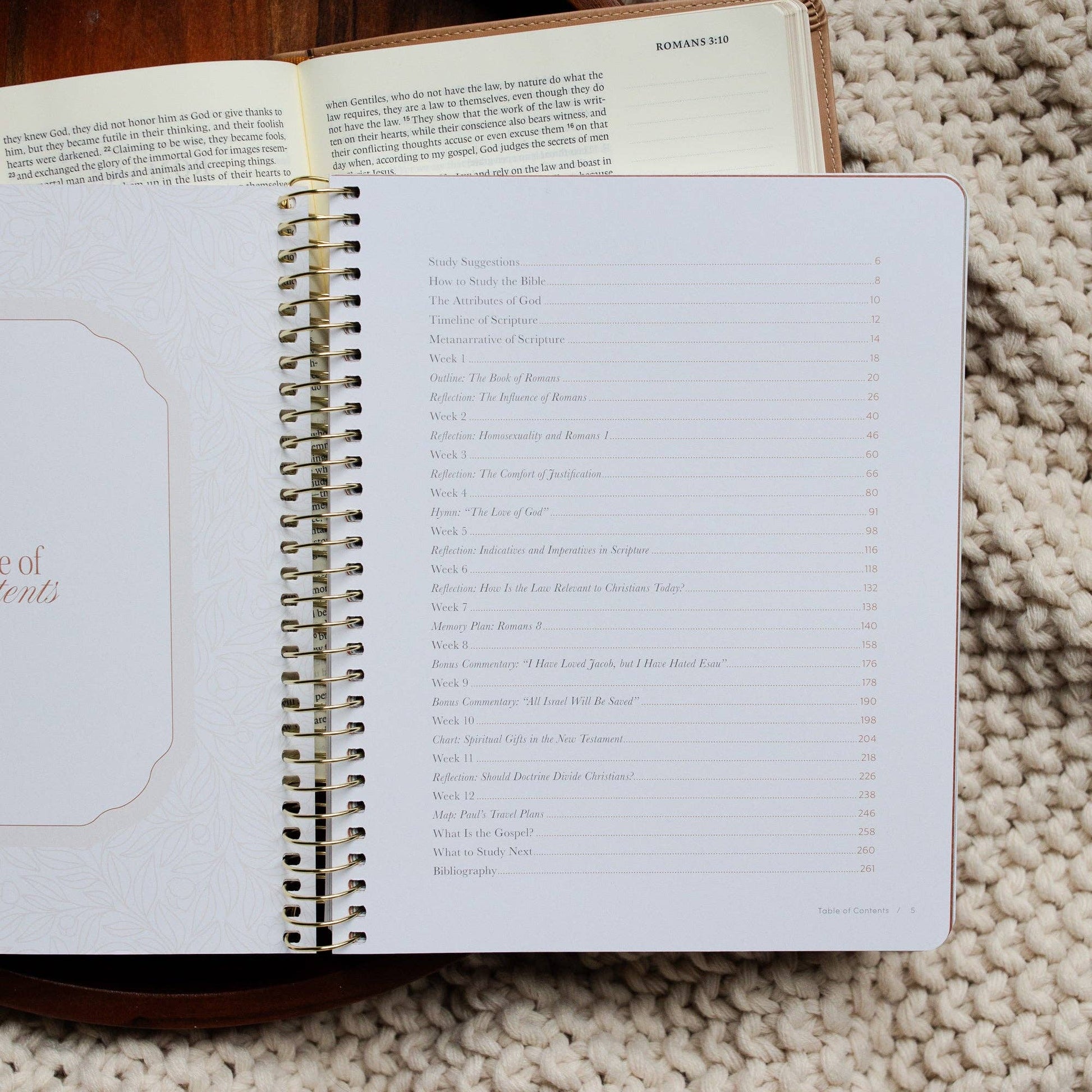 In Christ Alone: A Study on the Book of Romans - Purpose + Passion Boutique