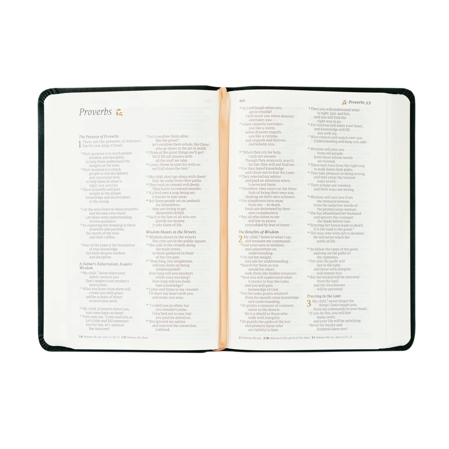 Jerusalem Compact NLT Bible - Purpose + Passion Boutique