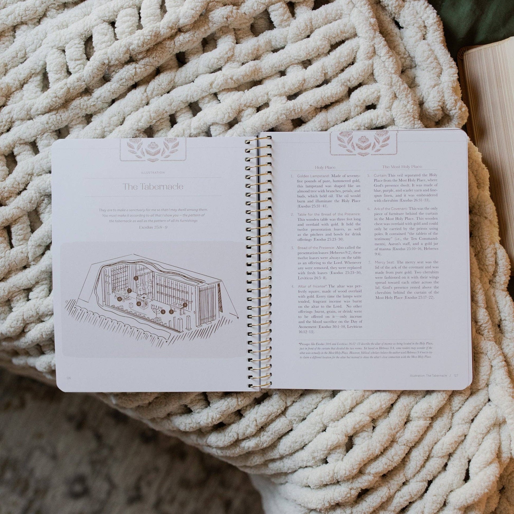 Jesus is Better: Living for the One Who is Worthy | A Study on the Book of Hebrews - Purpose + Passion Boutique