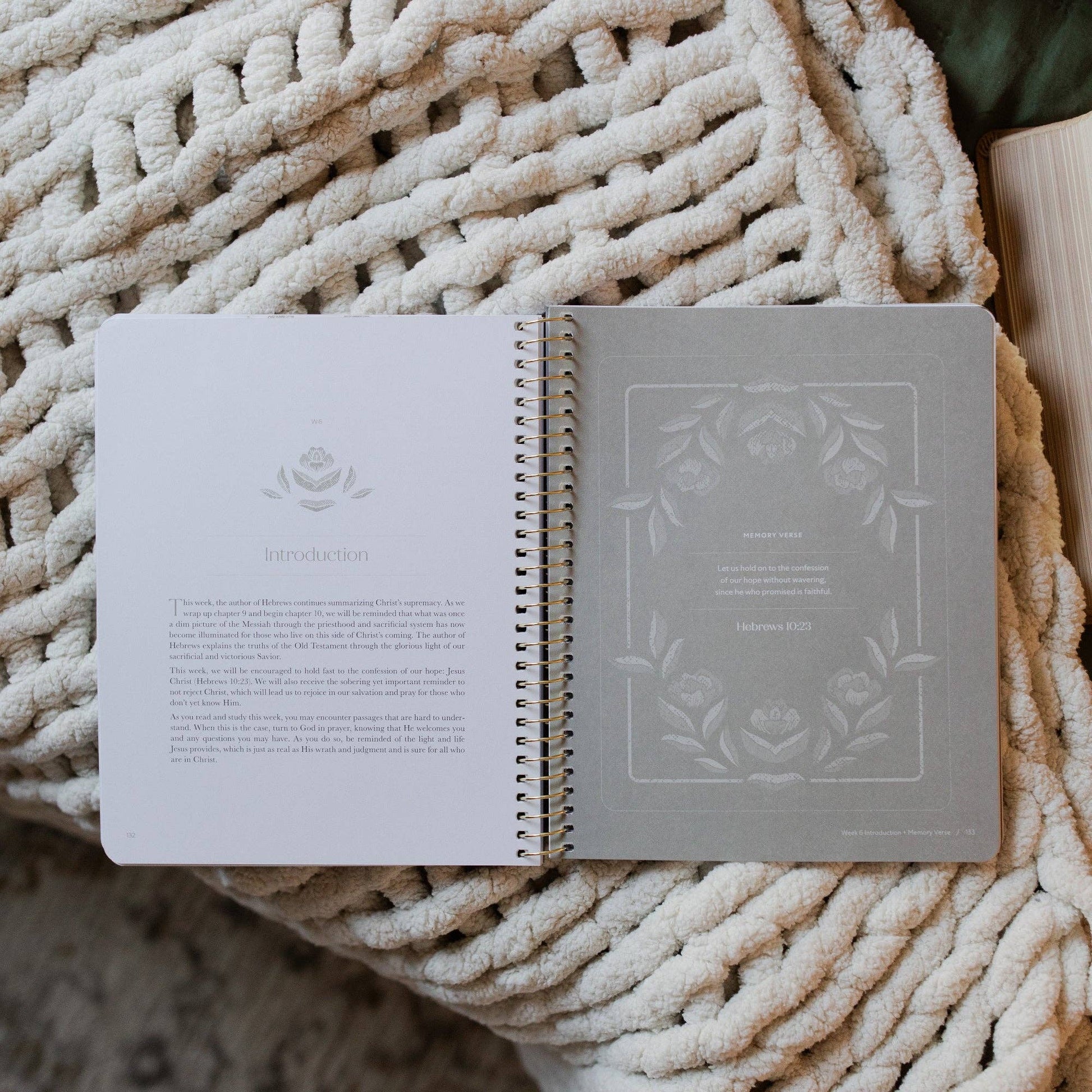 Jesus is Better: Living for the One Who is Worthy | A Study on the Book of Hebrews - Purpose + Passion Boutique