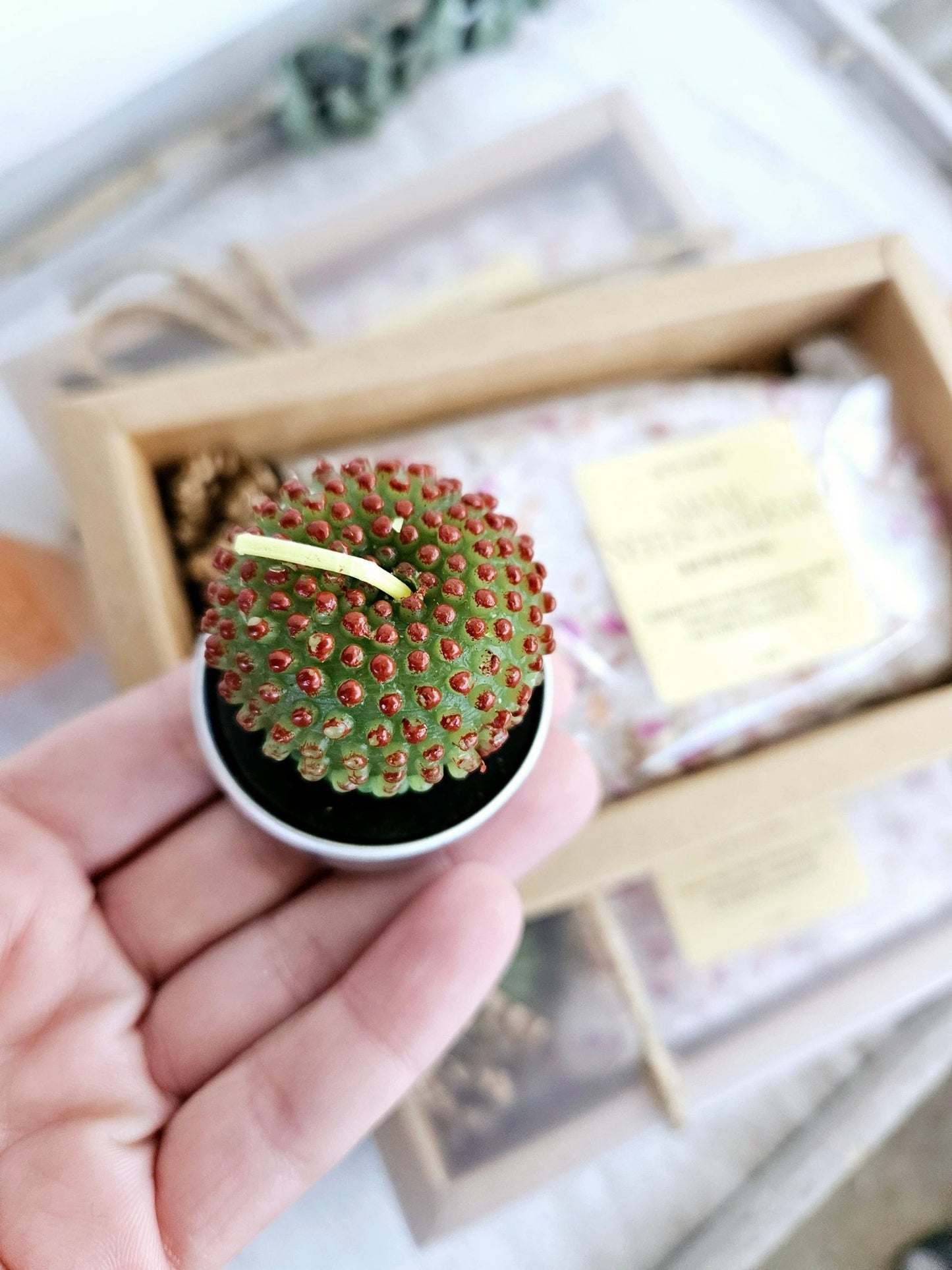 "Mama Needs A Break" Bath Salt & Succulent Gift Set Bath Soak - Purpose + Passion Boutique
