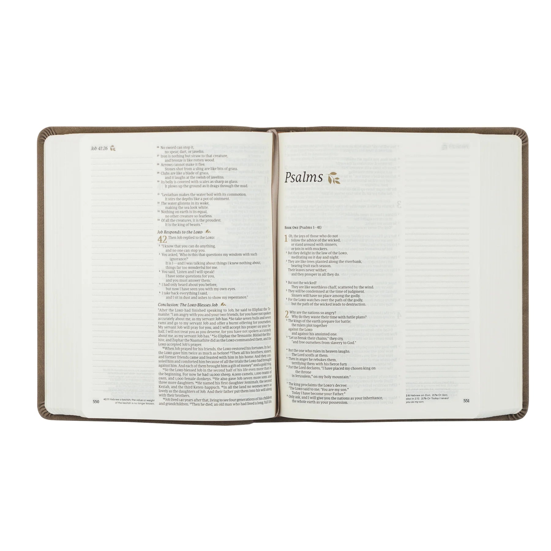 Marlo NLT Notetaking Bible - Purpose + Passion Boutique