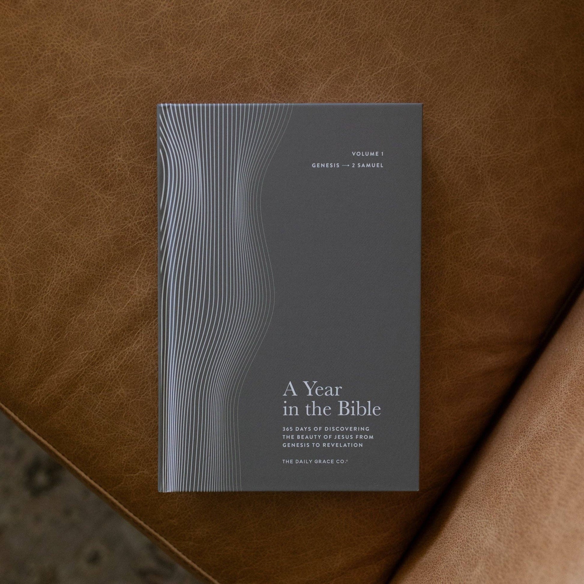 Men's Study: 365 Days of Discovering the Beauty of Jesus from Genesis to Revelation | Volume 1 - A Year in the Bible - Purpose + Passion Boutique