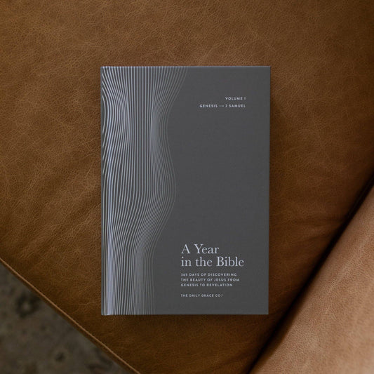 Men's Study: 365 Days of Discovering the Beauty of Jesus from Genesis to Revelation | Volume 1 - A Year in the Bible - Purpose + Passion Boutique