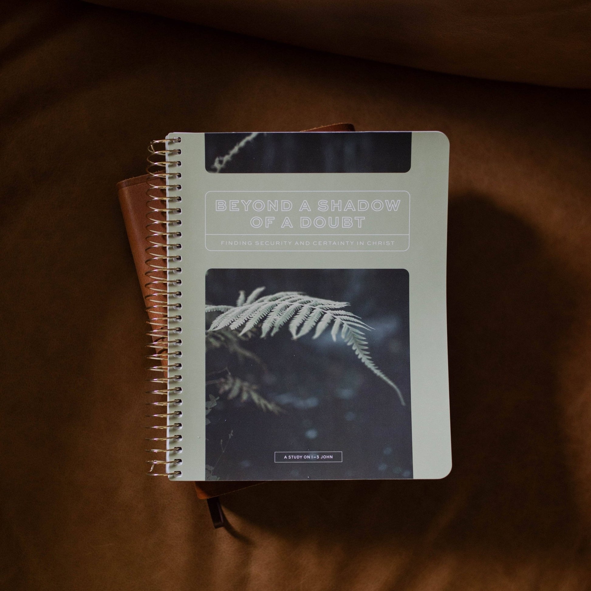 Men's Study: Beyond a Shadow of a Doubt: Finding Security & Certainty In Christ | A Study on the Letters of John - Purpose + Passion Boutique