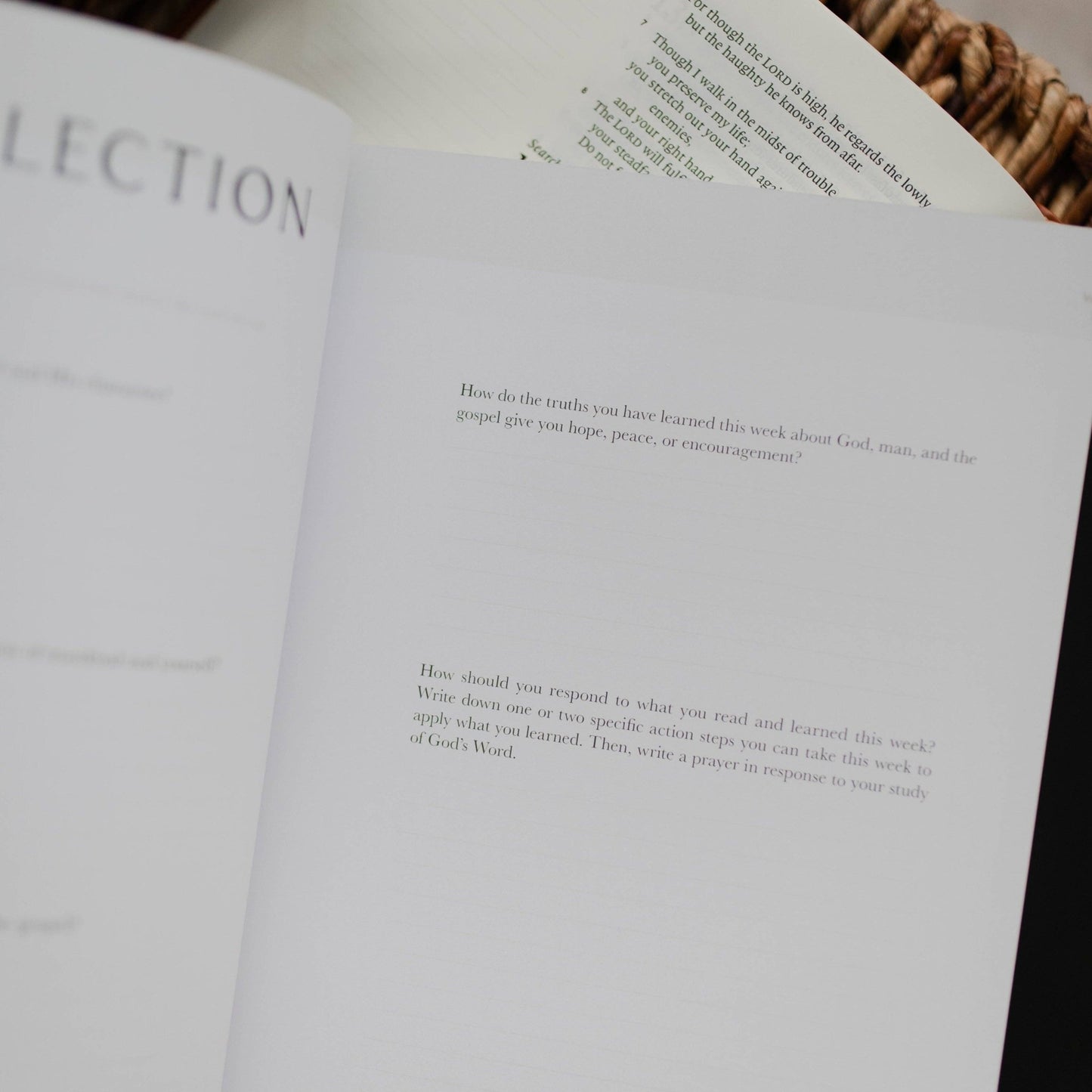 Men's Study: Free From Shame | How the Gospel Redeems our Past - Purpose + Passion Boutique