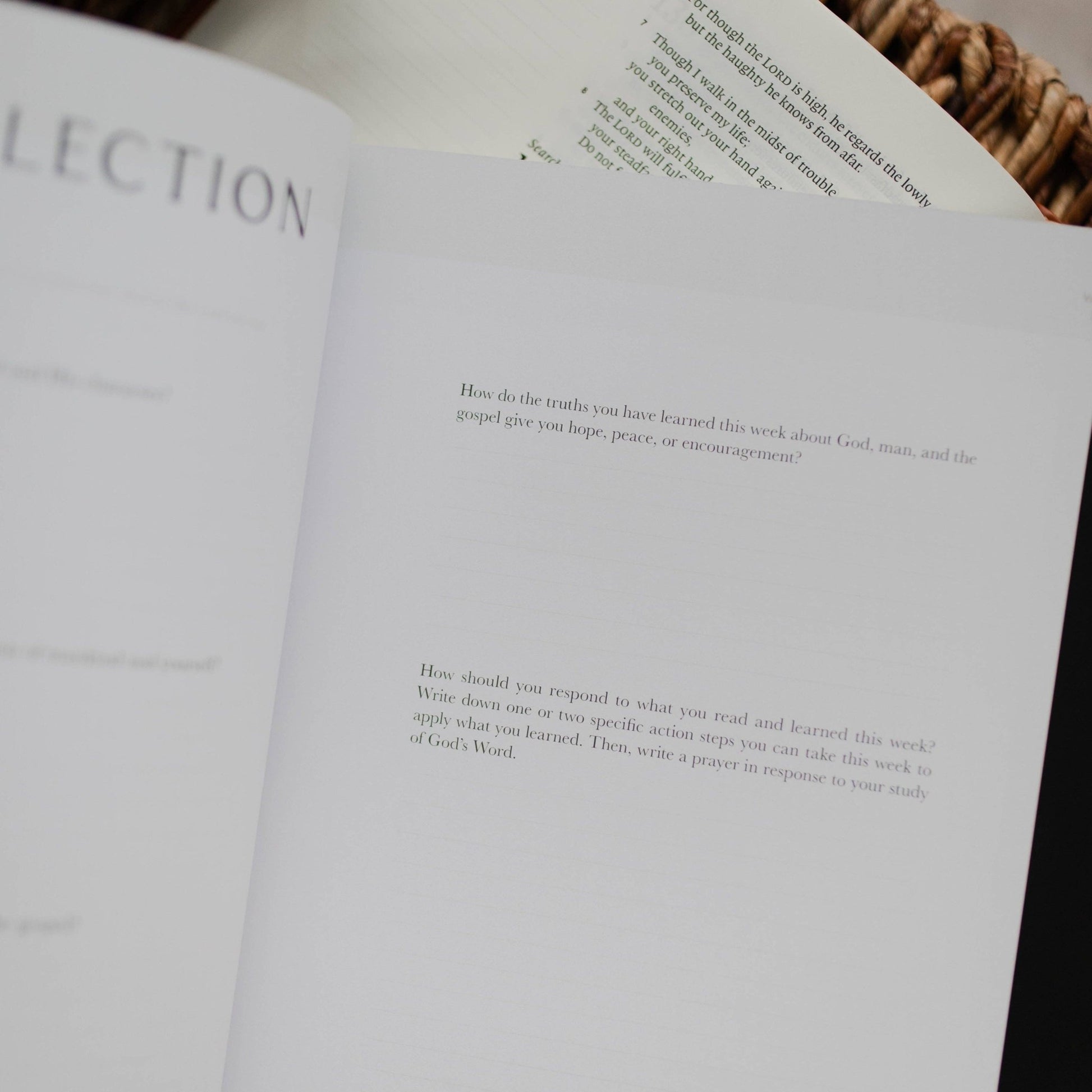 Men's Study: Free From Shame | How the Gospel Redeems our Past - Purpose + Passion Boutique