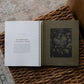Men's Study: In Christ Alone: A Study on the Book of Romans - Purpose + Passion Boutique