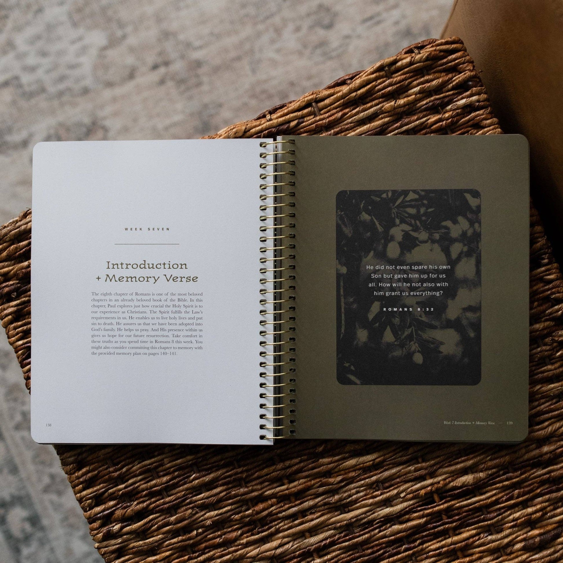Men's Study: In Christ Alone: A Study on the Book of Romans - Purpose + Passion Boutique