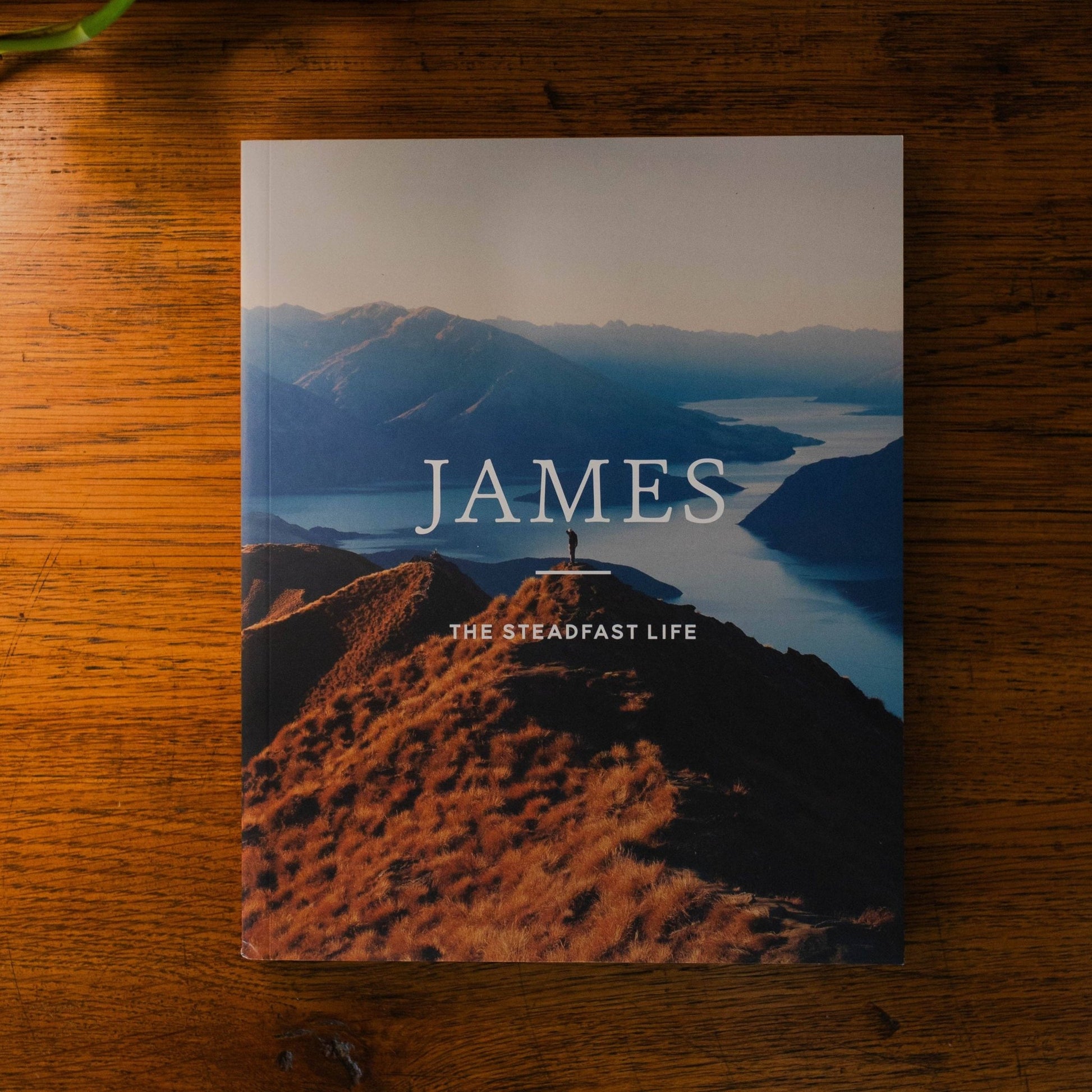 Men's Study: James | The Steadfast Life - Purpose + Passion Boutique