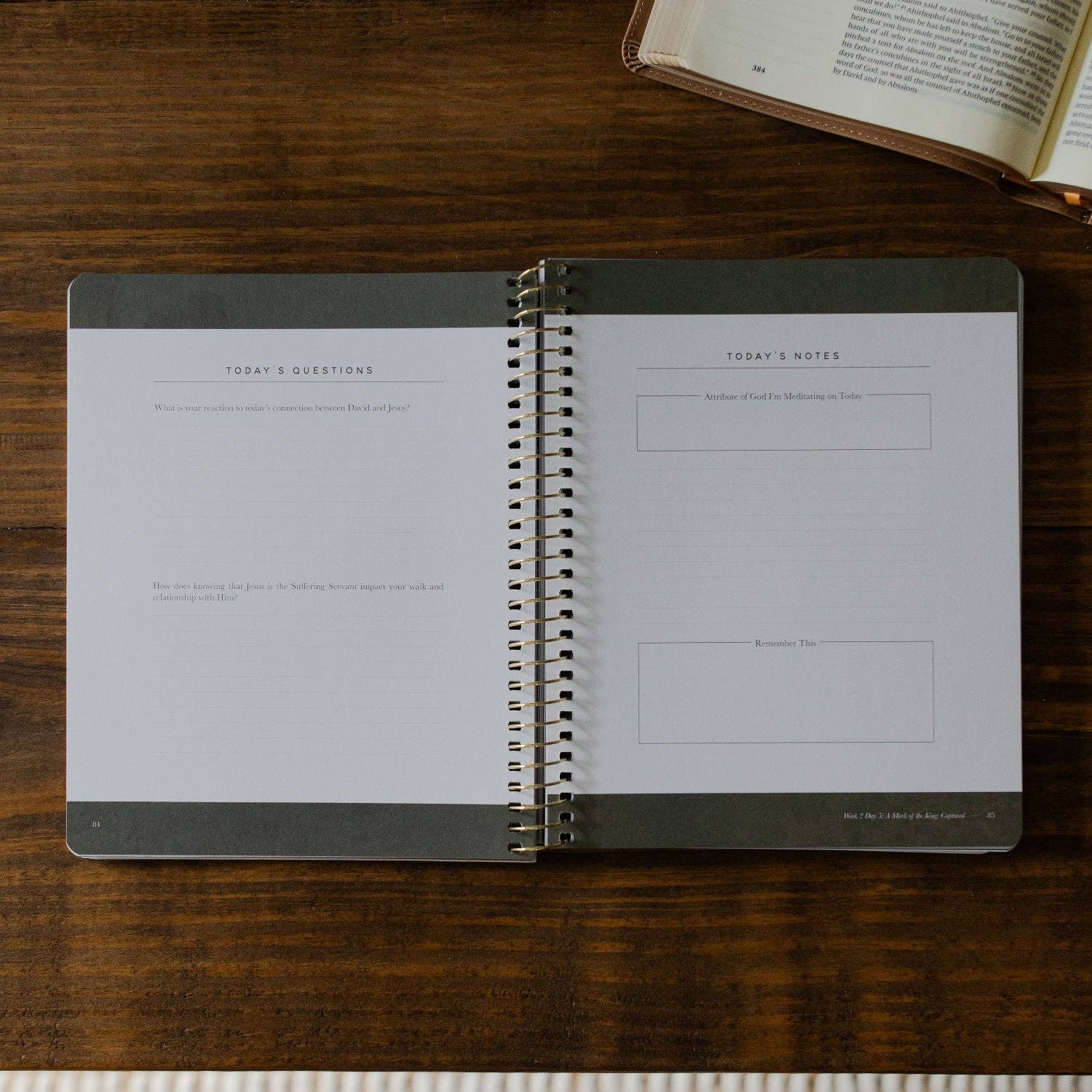Men's Study: Peaks and Valleys: Learning to Look to Christ in Life's Highs and Lows | A Study on the Life of David - Purpose + Passion Boutique