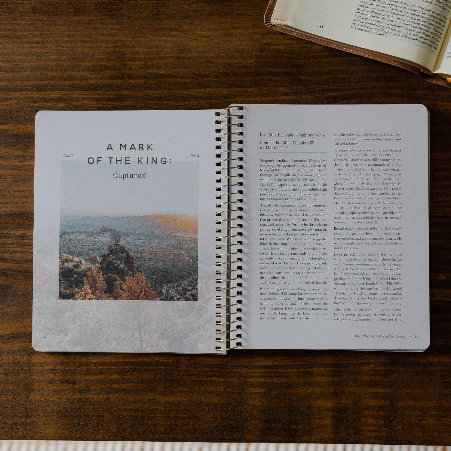 Men's Study: Peaks and Valleys: Learning to Look to Christ in Life's Highs and Lows | A Study on the Life of David - Purpose + Passion Boutique