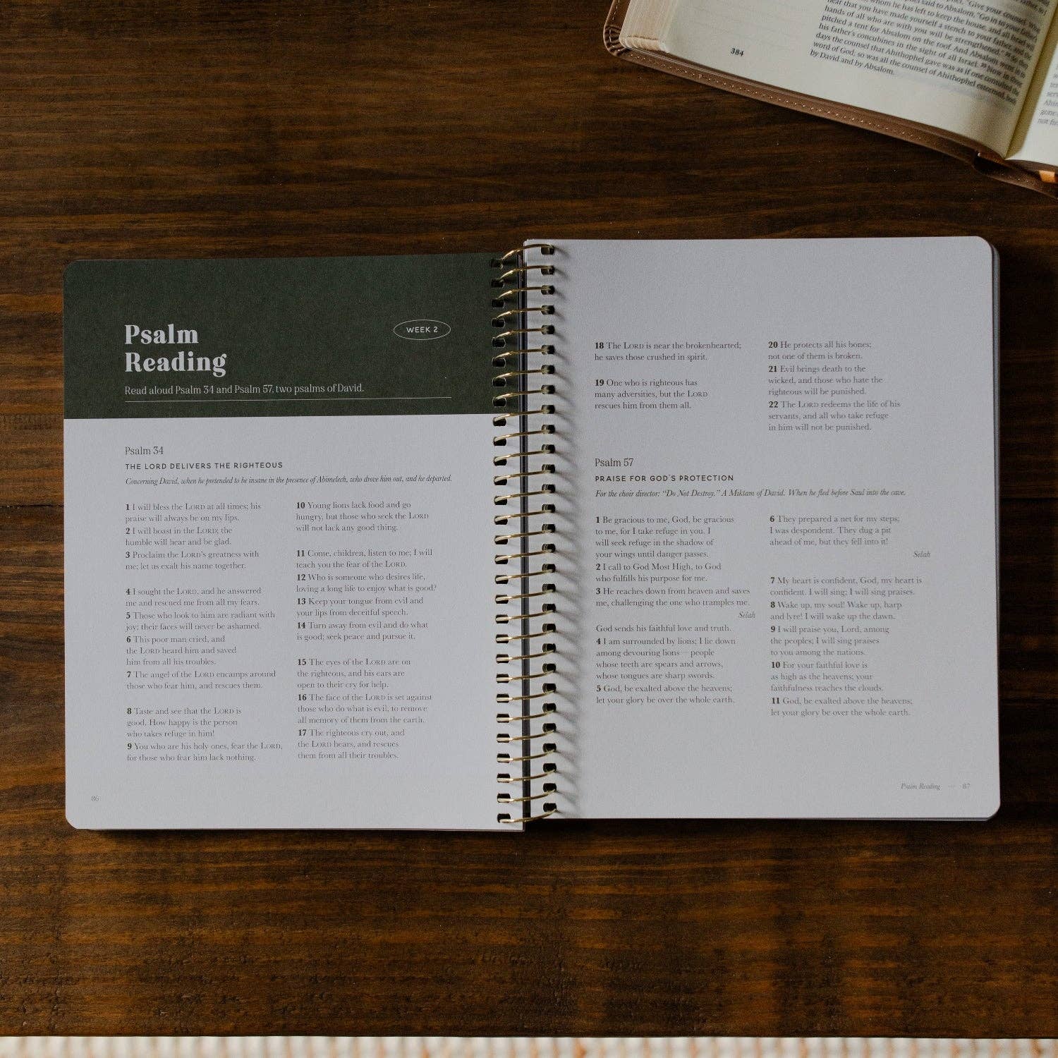 Men's Study: Peaks and Valleys: Learning to Look to Christ in Life's Highs and Lows | A Study on the Life of David - Purpose + Passion Boutique