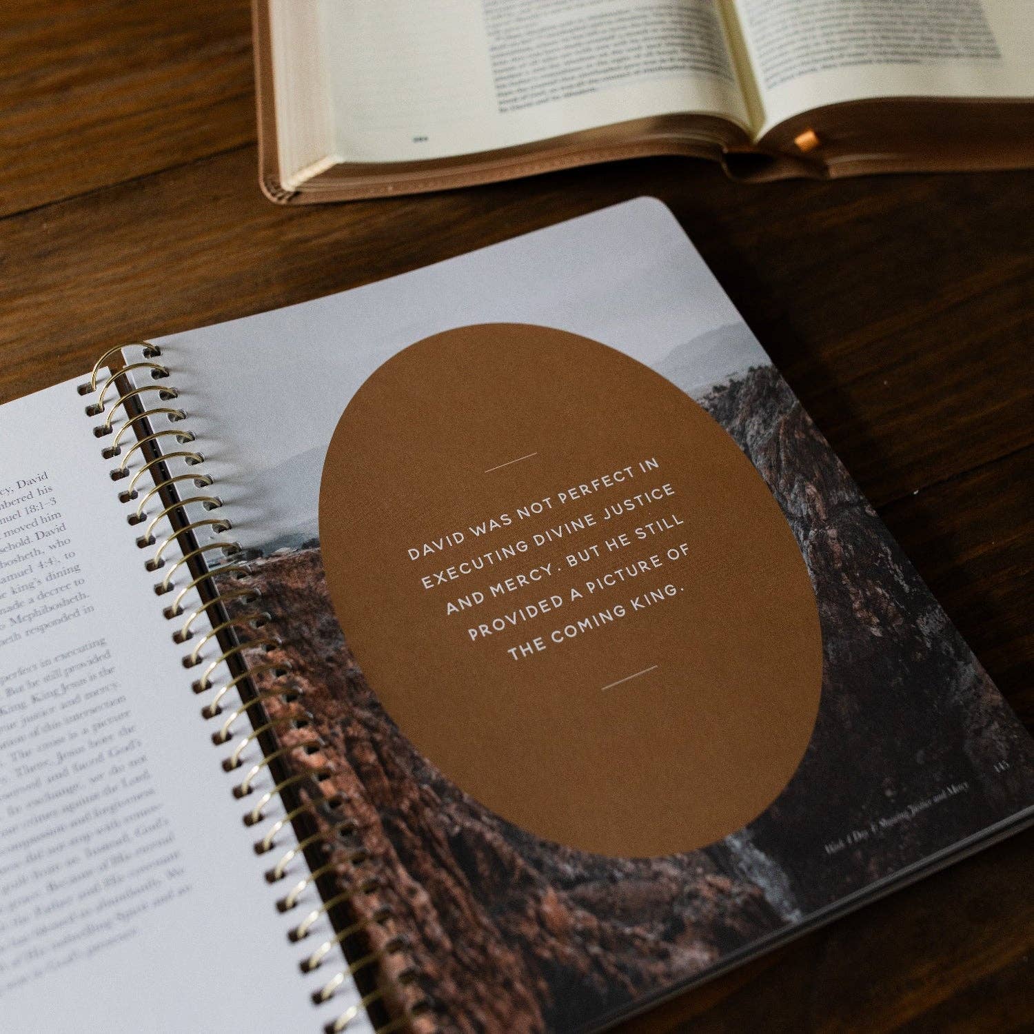 Men's Study: Peaks and Valleys: Learning to Look to Christ in Life's Highs and Lows | A Study on the Life of David - Purpose + Passion Boutique