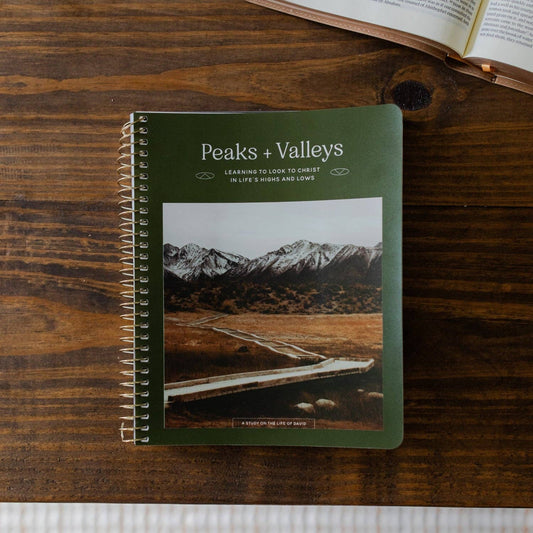 Men's Study: Peaks and Valleys: Learning to Look to Christ in Life's Highs and Lows | A Study on the Life of David - Purpose + Passion Boutique
