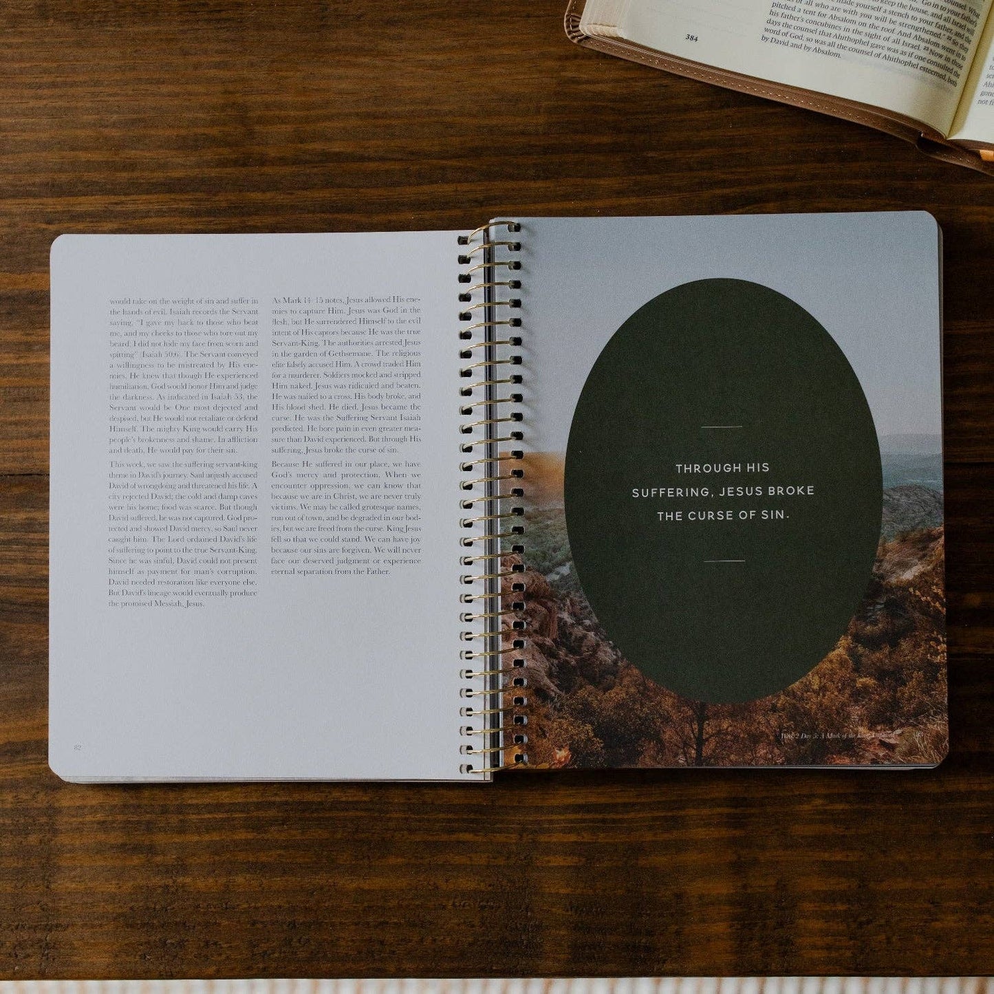 Men's Study: Peaks and Valleys: Learning to Look to Christ in Life's Highs and Lows | A Study on the Life of David - Purpose + Passion Boutique