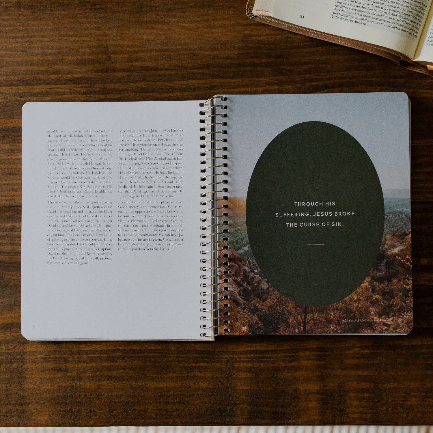 Men's Study: Peaks and Valleys: Learning to Look to Christ in Life's Highs and Lows | A Study on the Life of David - Purpose + Passion Boutique