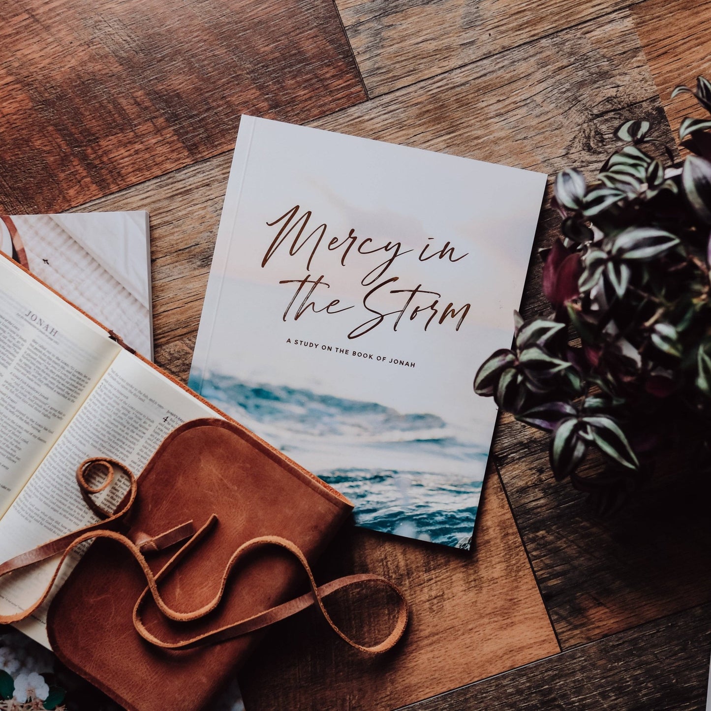 Mercy in the Storm - a Study on the Book of Jonah - Purpose + Passion Boutique