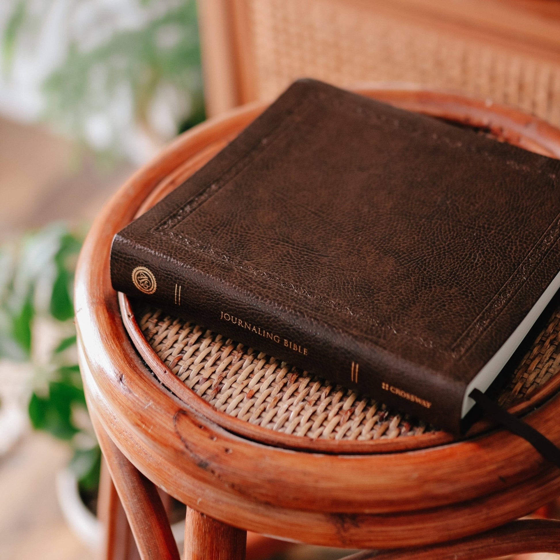 Mocha Bonded Leather ESV Journaling Bible - Purpose + Passion Boutique