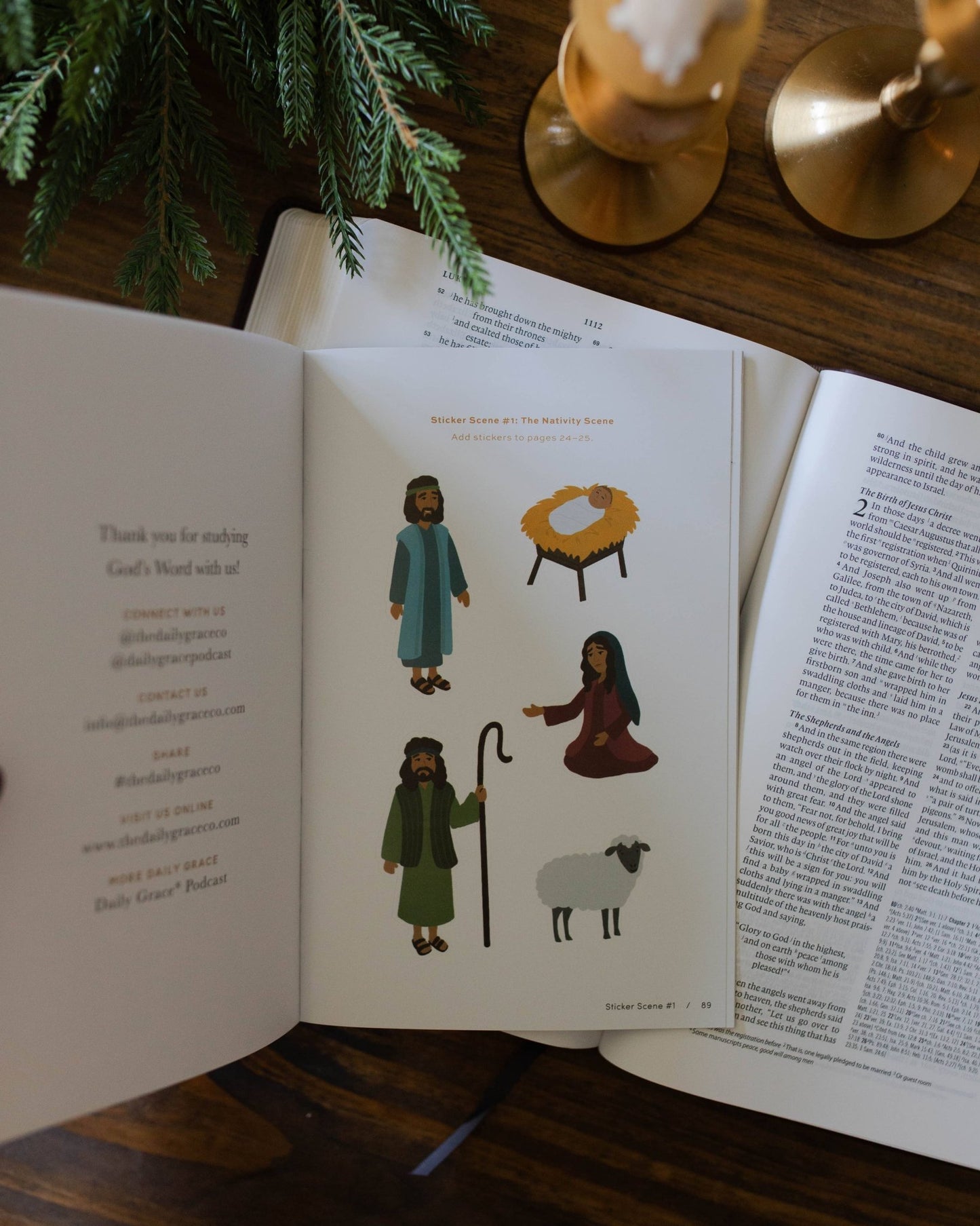 More Than a Manger: How Every Detail of the Christmas Story Points to the Messiah - Purpose + Passion Boutique