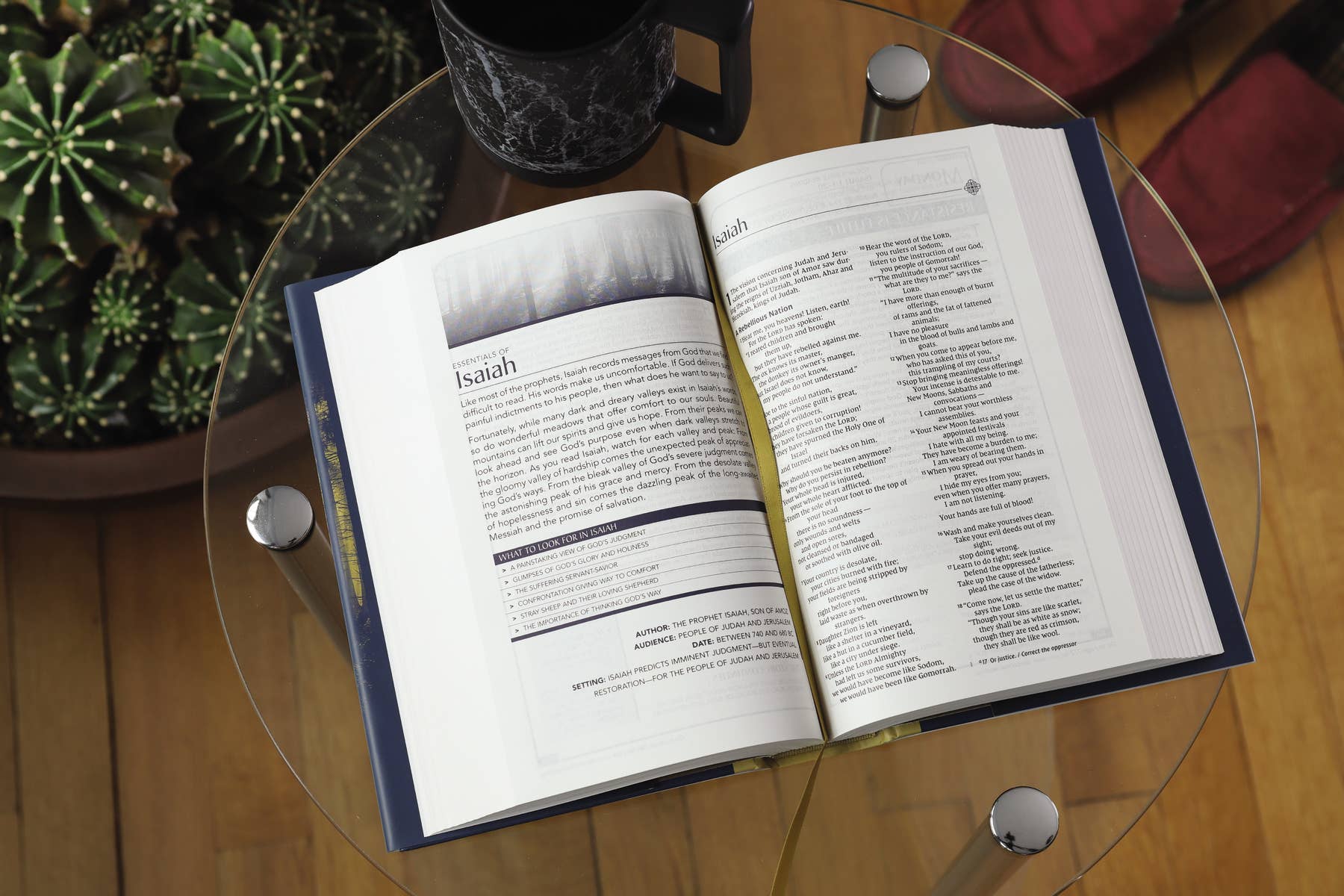 NIV, Men's Devotional Bible - Purpose + Passion Boutique
