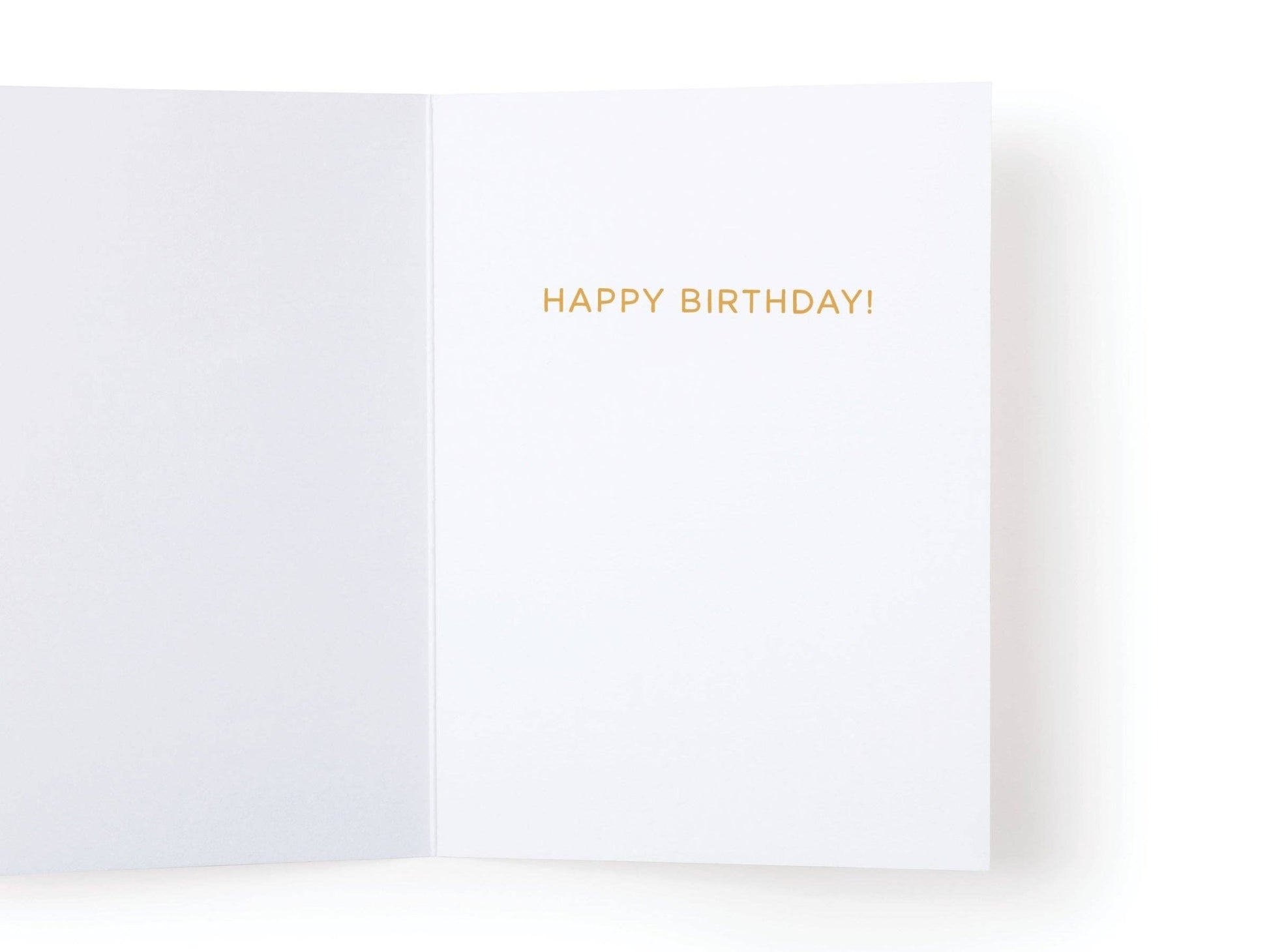 Older Not Wiser Birthday Greeting Card - Purpose + Passion Boutique