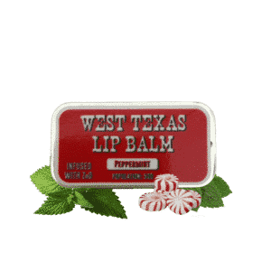 Peppermint Lip Balm - Purpose + Passion Boutique