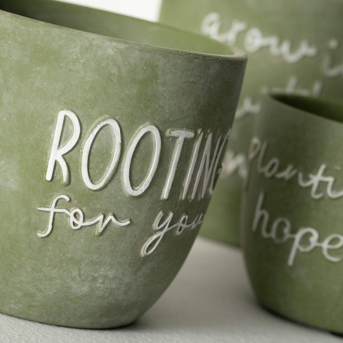 Planting Rooting Growing Plant - Purpose + Passion Boutique