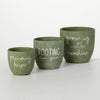 Planting Rooting Growing Plant - Purpose + Passion Boutique