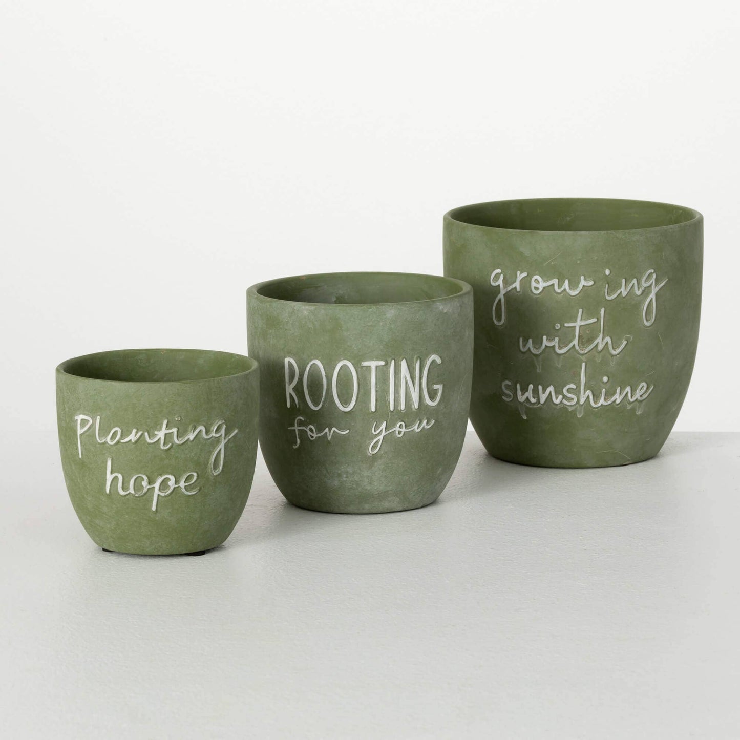 Planting Rooting Growing Plant - Purpose + Passion Boutique