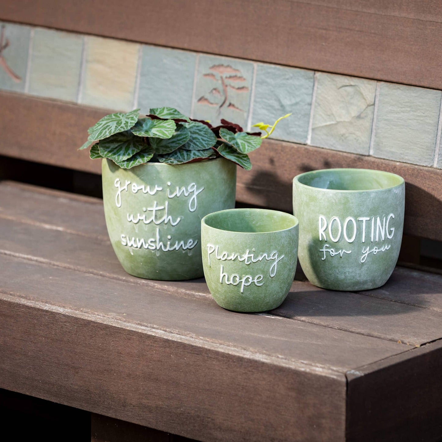 Planting Rooting Growing Plant - Purpose + Passion Boutique