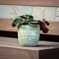 Planting Rooting Growing Plant - Purpose + Passion Boutique