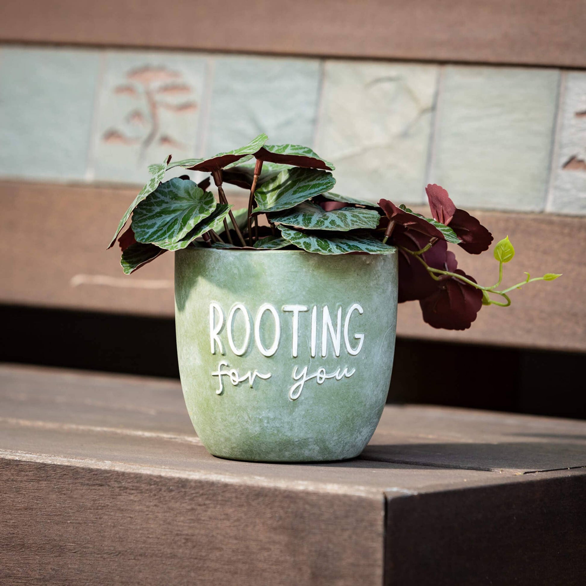 Planting Rooting Growing Plant - Purpose + Passion Boutique