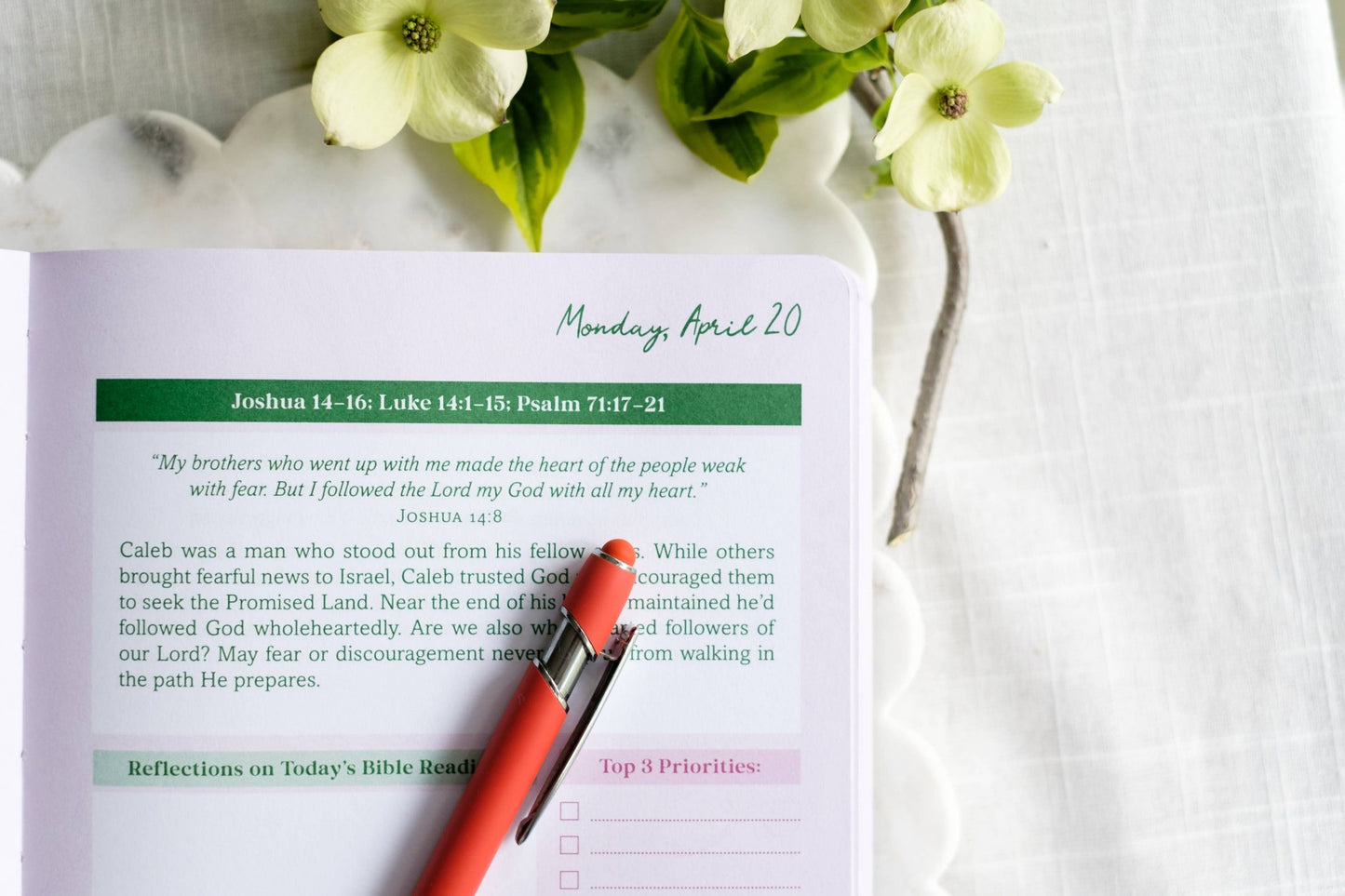 Read Through the Bible in a Year Planner: 2026 Edition - Purpose + Passion Boutique