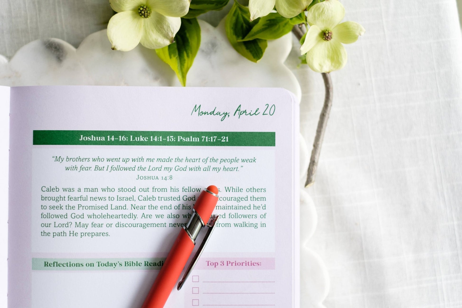 Read Through the Bible in a Year Planner: 2026 Edition - Purpose + Passion Boutique