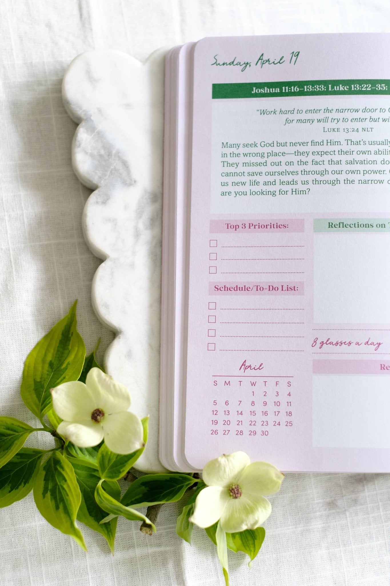 Read Through the Bible in a Year Planner: 2026 Edition - Purpose + Passion Boutique