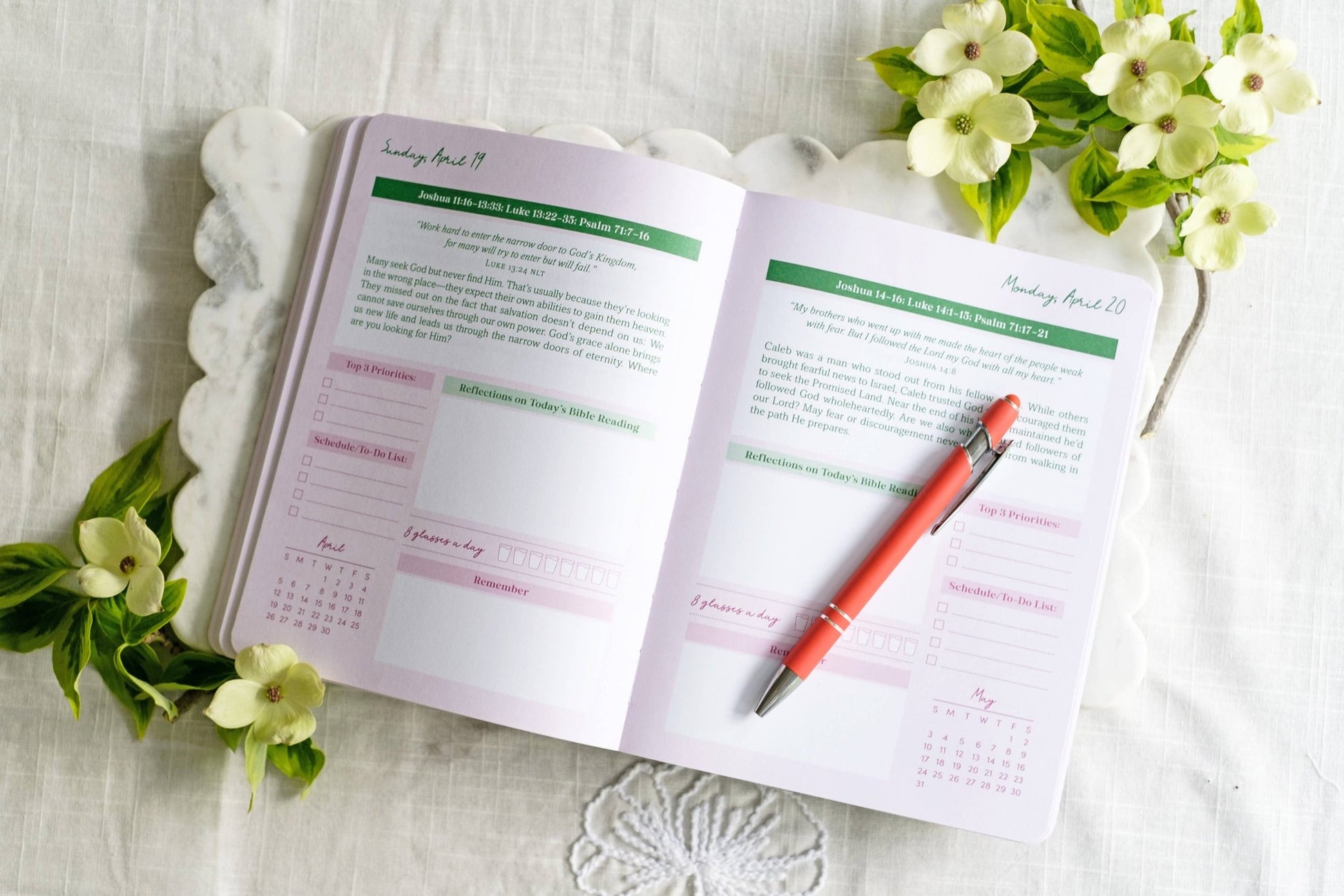 Read Through the Bible in a Year Planner: 2026 Edition - Purpose + Passion Boutique
