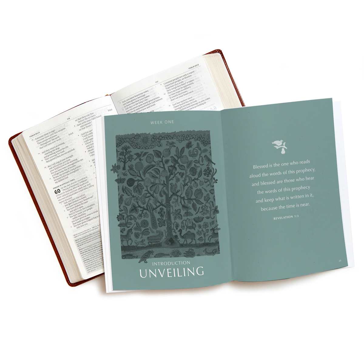 Revelation - Bible Study Book with Video Access - Purpose + Passion Boutique