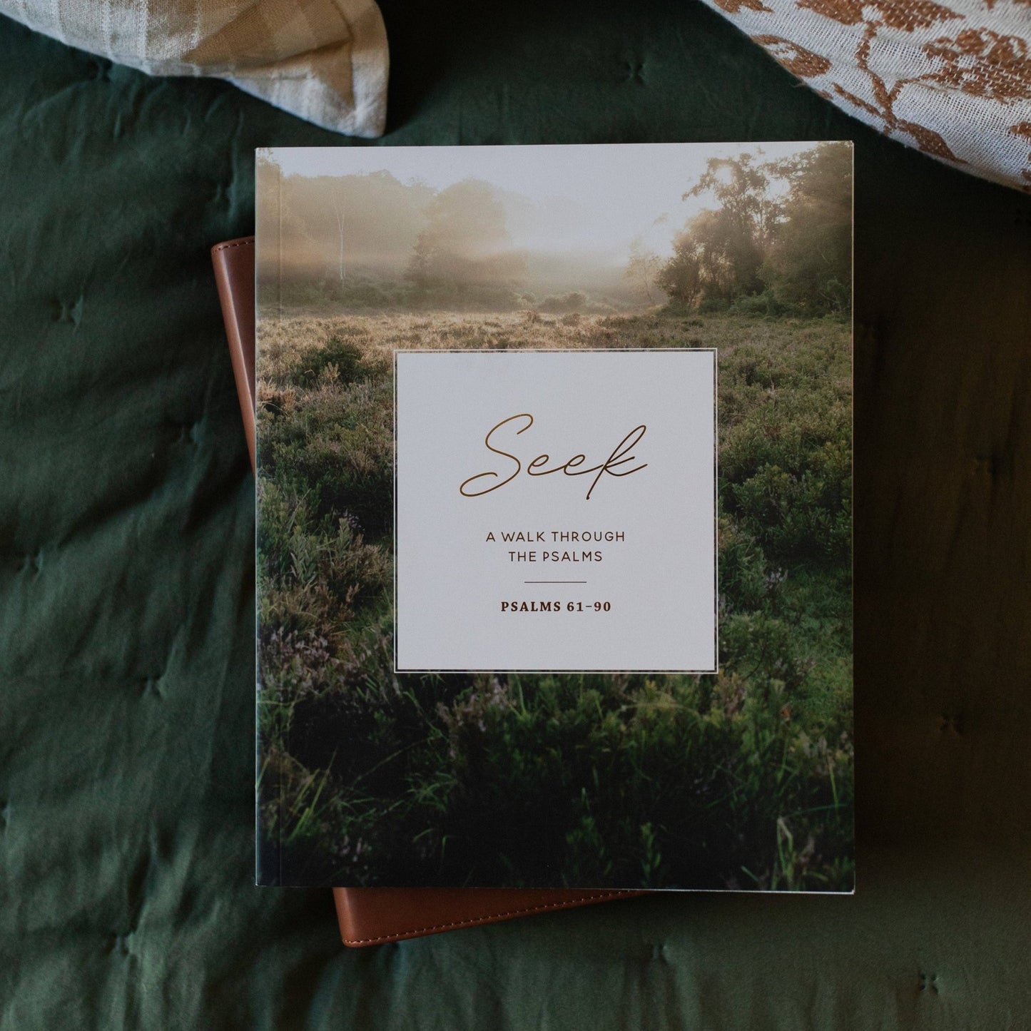 Seek | 6 Week Bible Study | A Walk Through Psalms 61 - 90 - Purpose + Passion Boutique