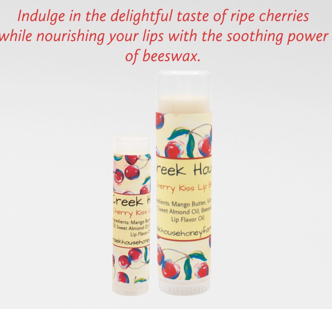 Small Lip Balm - Purpose + Passion Boutique