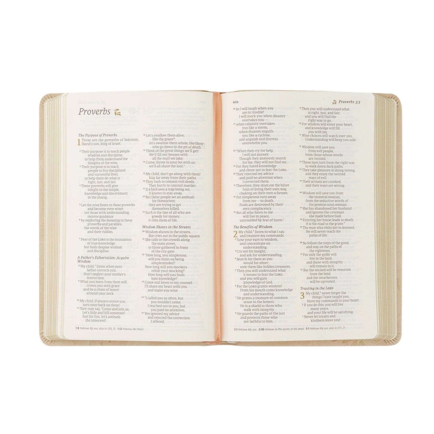 Sonora Compact NLT Bible - Purpose + Passion Boutique