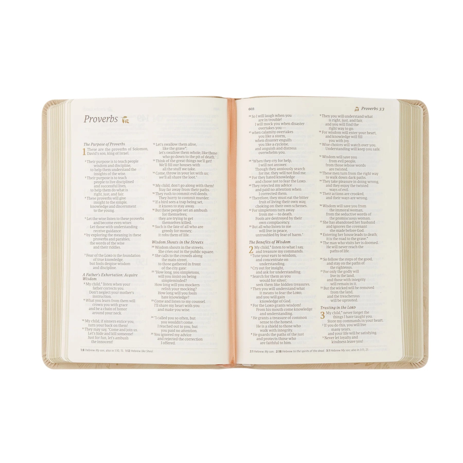 Sonora Compact NLT Bible - Purpose + Passion Boutique