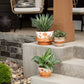 Striped Planters - Purpose + Passion Boutique