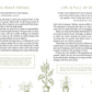 The Declutter Devotional - Purpose + Passion Boutique