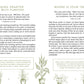 The Declutter Devotional - Purpose + Passion Boutique