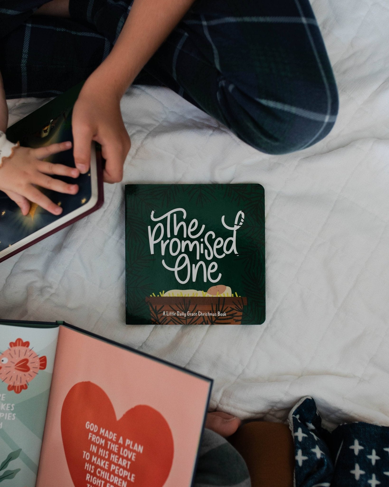 The Promised One Board Book - Purpose + Passion Boutique