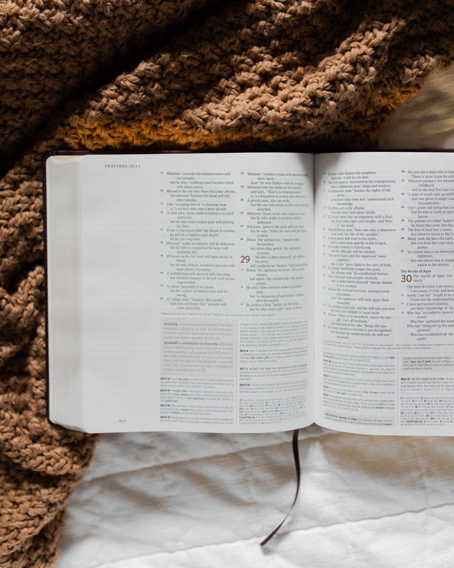 The Story of Redemption ESV Journaling Study Bible - Purpose + Passion Boutique