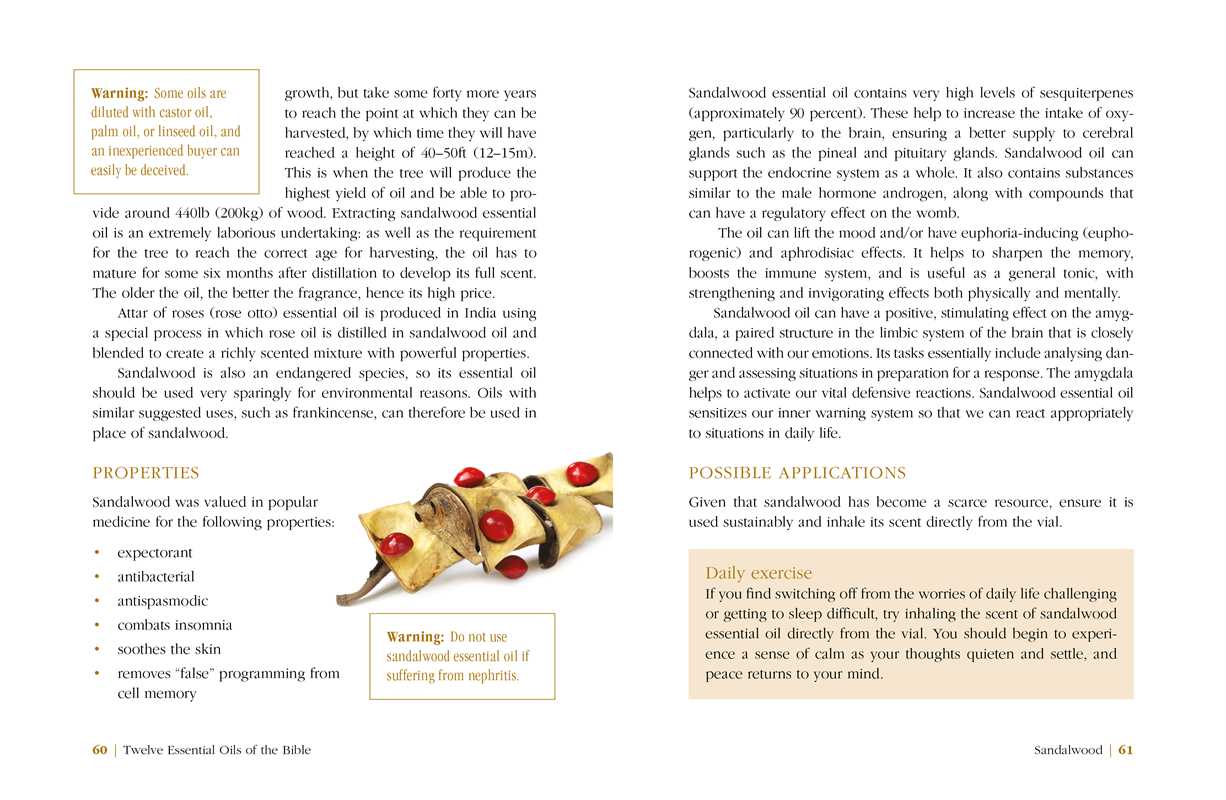 Twelve Essential Oils of the Bible by Karin Opitz - Kreher - Purpose + Passion Boutique