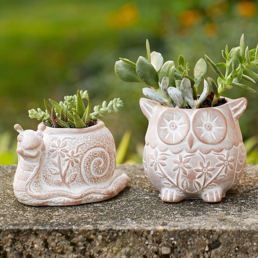 What's the Hurry Snail Terracotta Planter - Purpose + Passion Boutique