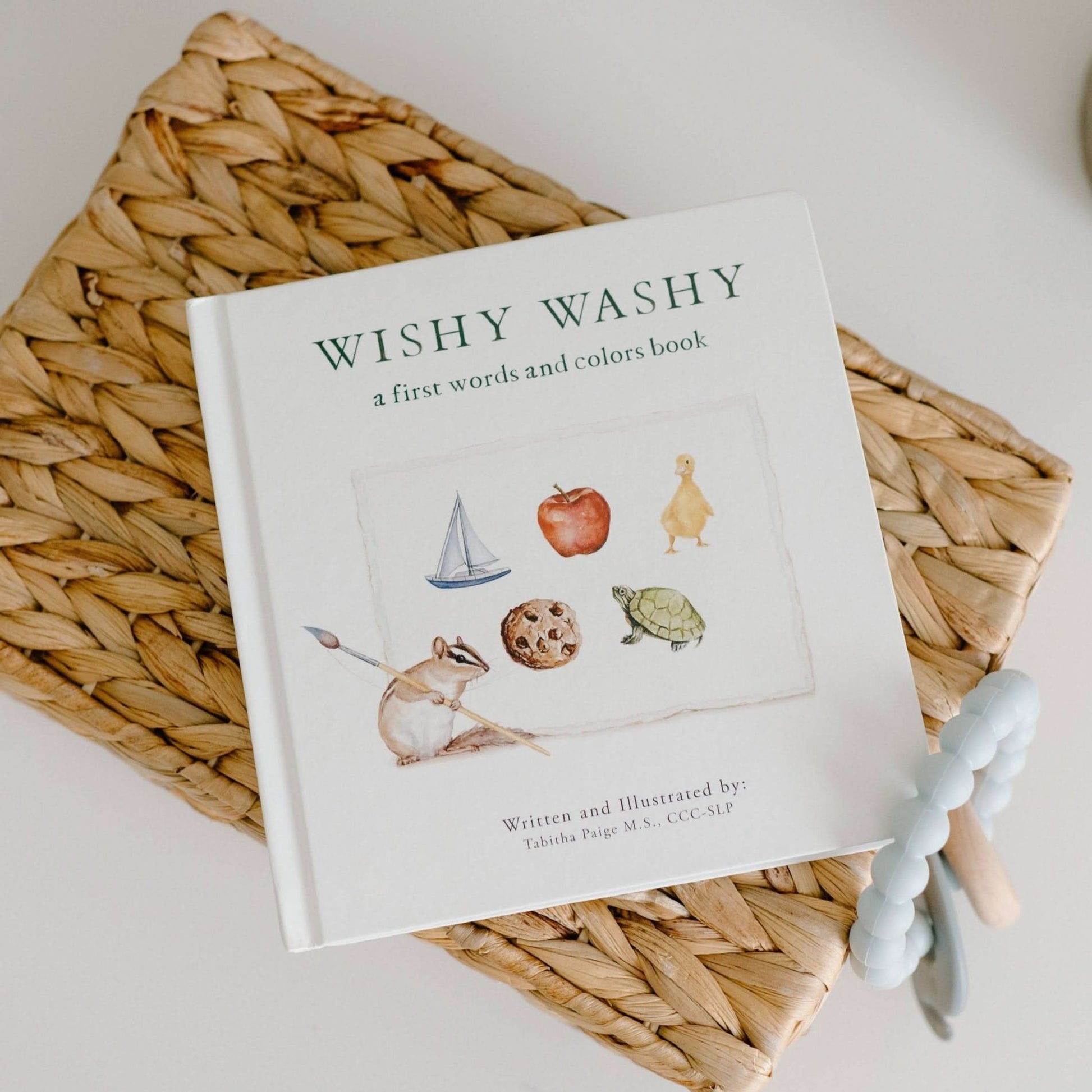 Wishy Washy: A Board Book of First Words and Colors - Purpose + Passion Boutique